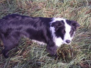 300November2006 079.jpg